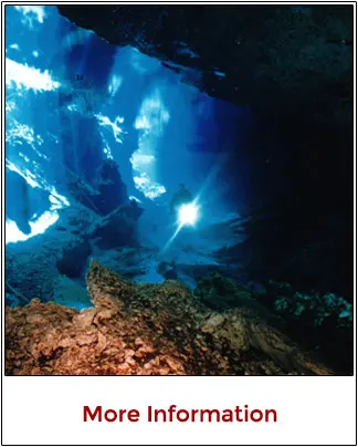 Guided freshwater cenote cavern diving excursions from Cancun Mexico