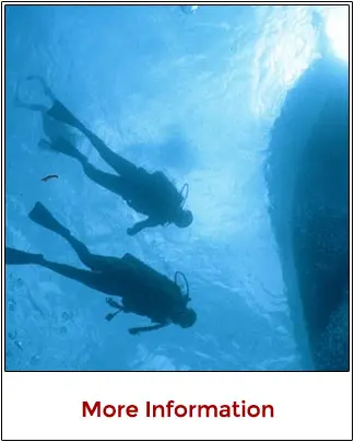PADI open water scuba certification courses and recreational diving lessons in Cancun